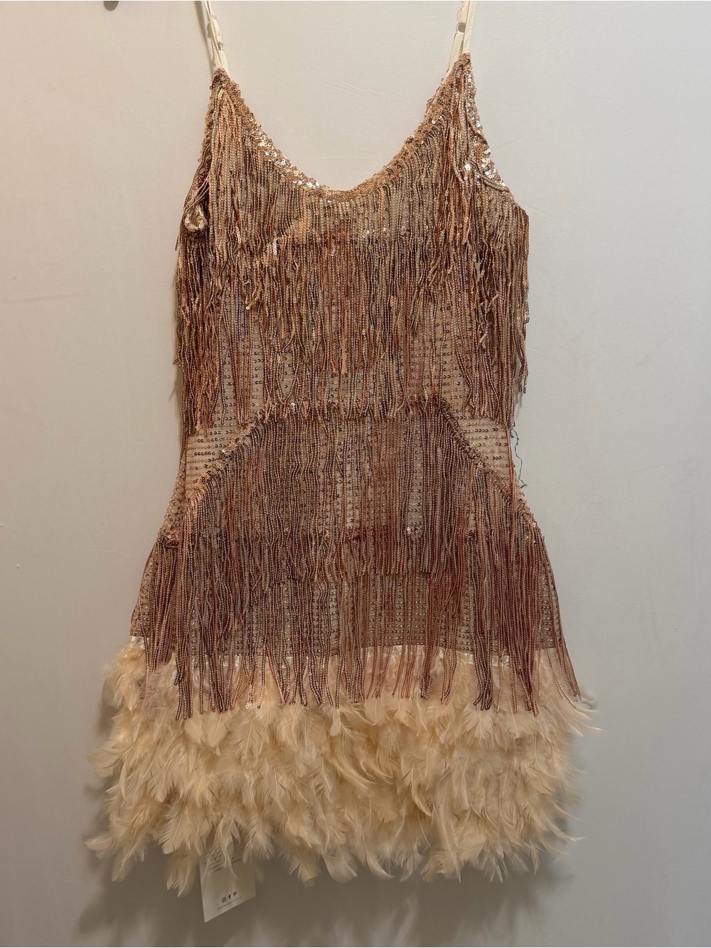 Beaded Fringe Mini Dress with Feather Hem in Champagne